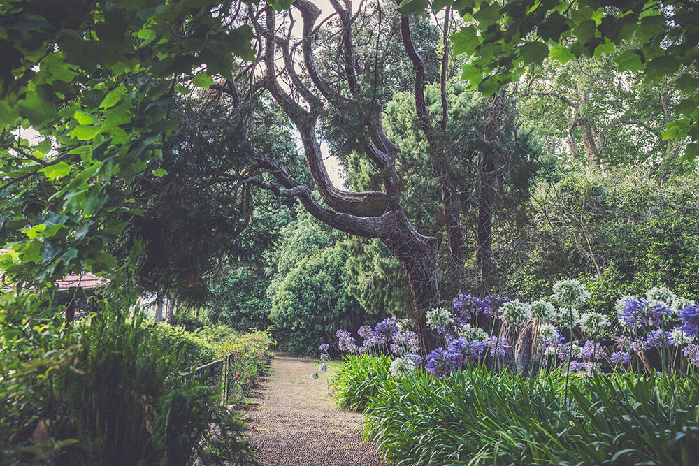 Yoga and breathwork session at Sattva Reset